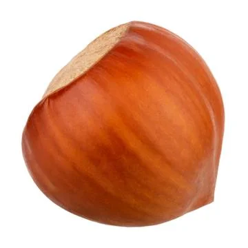 Hazelnut isolated on white background as package design elements Stock Photos