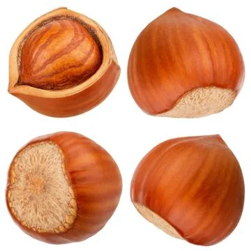 Hazelnut isolated on white background as package design elements Stock Photos