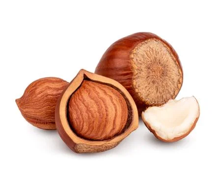 Hazelnut isolated on white background as package design element Stockfoto's