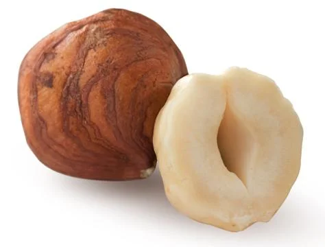 Hazelnut isolated on white background Stock Photos