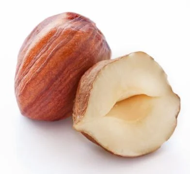 Hazelnut isolated on white background Stock Photos