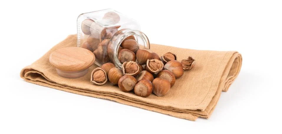 Hazelnut isolated on white background. Stock-Fotos