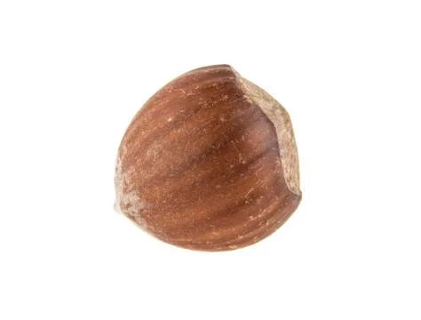Hazelnut isolated on white background Stock Photos