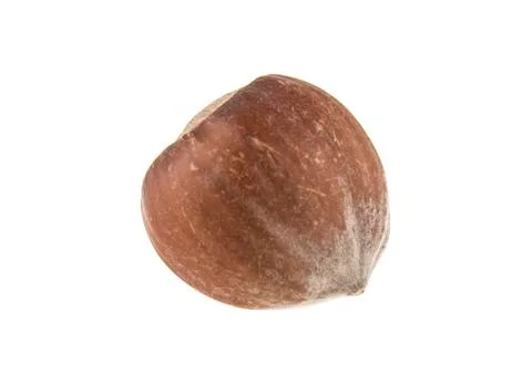 Hazelnut isolated on white background Stock Photos