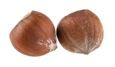 Hazelnut isolated on white background Stock Photos
