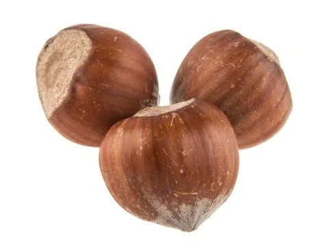 Hazelnut isolated on white background Stock Photos
