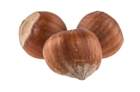 Hazelnut isolated on white background Stock Photos