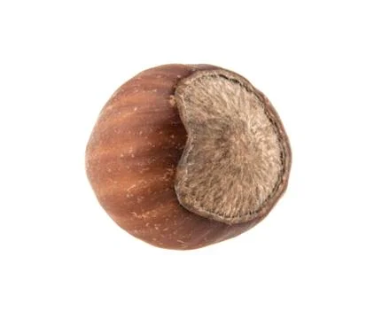 Hazelnut isolated on white background Stock Photos