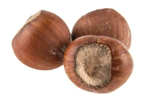 Hazelnut isolated on white background Stock Photos