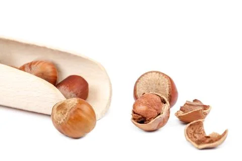 Hazelnut on a isolated on white background Foto stock