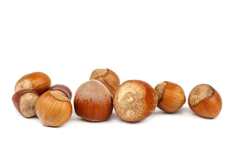 Hazelnut on a isolated on white background Stock Photos