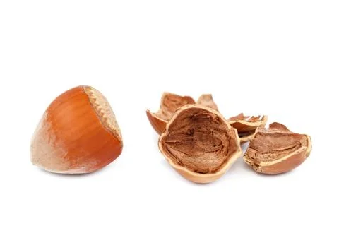 Hazelnut on a isolated on white background. Stock Photos