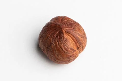 Hazelnut isolated on a white background Stock Photos