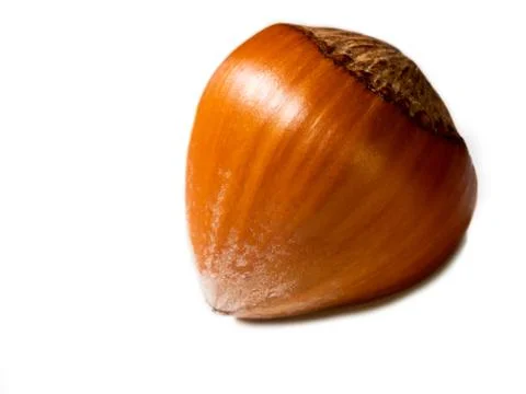 Hazelnut isolated on white background. Stock Photos