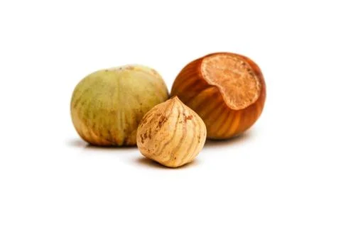 Hazelnut kernel isolated Foto stock
