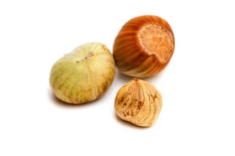 Hazelnut kernel isolated Foto stock