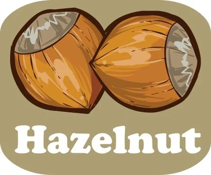 Hazelnut kernel with on light brown background vector illustration Stock Illustration