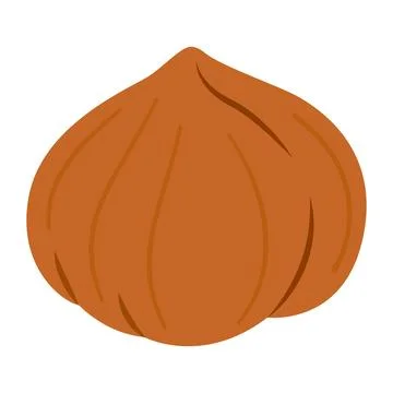 Hazelnut kernel ripe and tasty, healthy snacks. Hand drawn trendy flat style. Stock Illustration