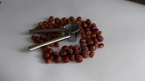 Hazelnut kernels and nutcracker on a white background Stock Footage 323696910
