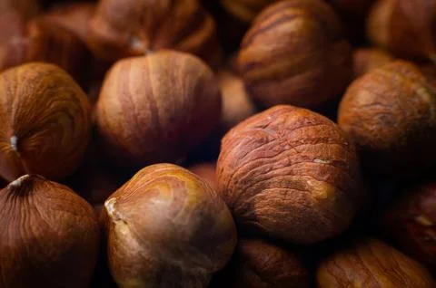 Hazelnut kernels close-up. macro shot of the texture of a pile of nuts Stock Photos