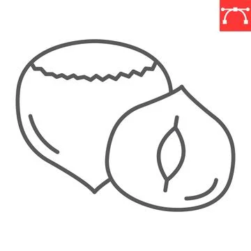 Hazelnut line icon 스톡 일러스트