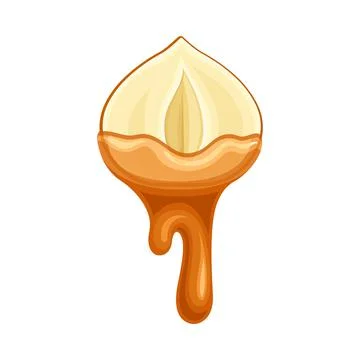 Hazelnut with liquid melted chocolate. Nutritious natural sweet dessert vector Illustrazione stock