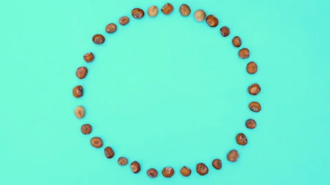 Hazelnut making round frame on green theme. Stop motion Stock-Footage 139554269