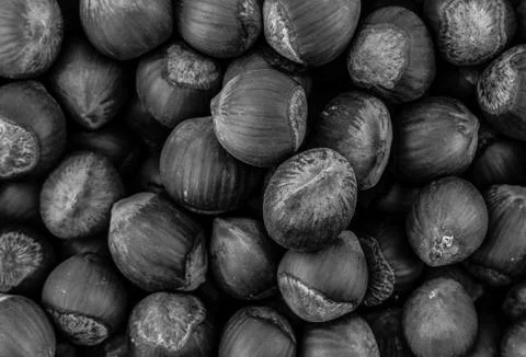 Hazelnut many nuts background base gray sepia effect close-up dark pattern ba Stock Photos