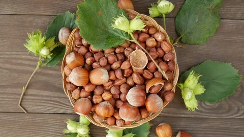 Hazelnut nut in a basket. Video stock 303199737
