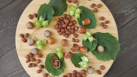 Hazelnut nut on the board. Stock Footage 328389615