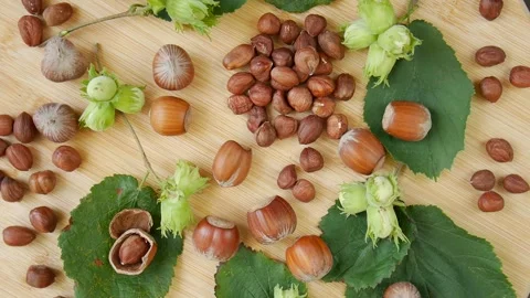 Hazelnut nut on the board. Stock Footage 328441194
