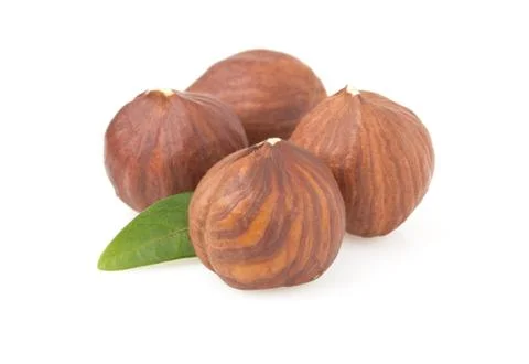 Hazelnut nut on white Foto stock