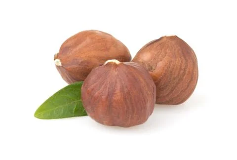 Hazelnut nut on white Stock Photos