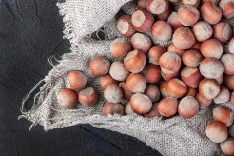 Hazelnut nuts poured into the burlap Stock Photos