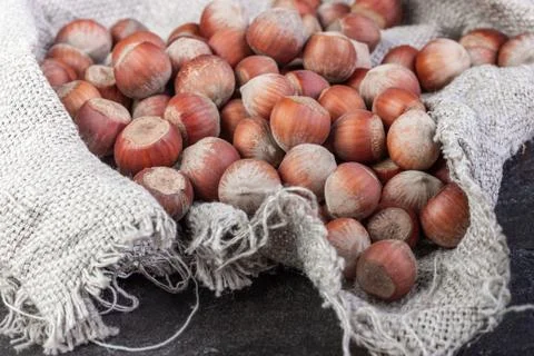 Hazelnut nuts poured into the burlap Stock Photos
