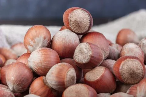 Hazelnut nuts poured into the burlap Stock Photos
