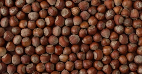 Hazelnut in nutshell background texture. Stock Footage 282106975