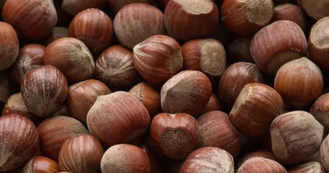 Hazelnut in nutshells background. Table spin. Seamless loop. Stock Footage 277608920