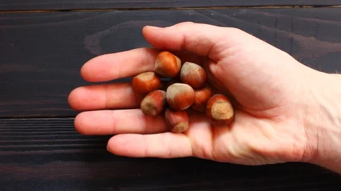 Hazelnut in the palm of hands 스톡 동영상 103210092