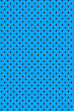Hazelnut pattern on blue background, colorful flat lay food texture top view 스톡 사진