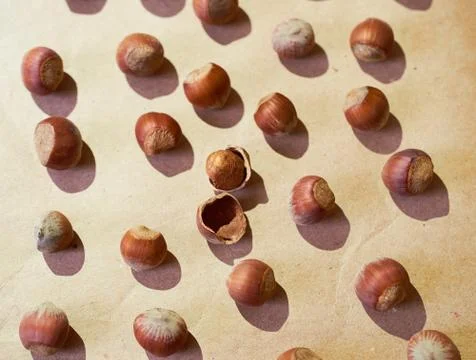 Hazelnut pattern on a brown background 스톡 사진