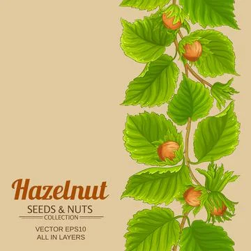 Hazelnut pattern on color background Stock Illustration
