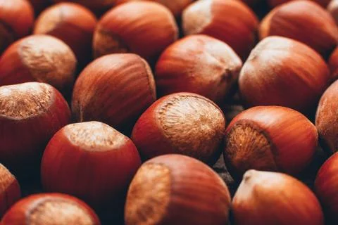 Hazelnut pattern natural background fall season 스톡 사진