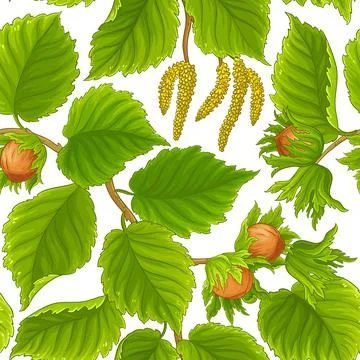 Hazelnut pattern on white background Stock Illustration