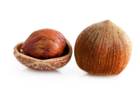 Hazelnut Stock Photos