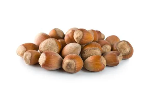 Hazelnut Stock Photos