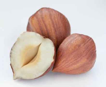 Hazelnut Stock Photos
