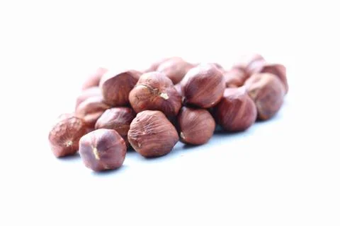 Hazelnut Stock Photos