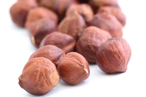 Hazelnut Stock Photos