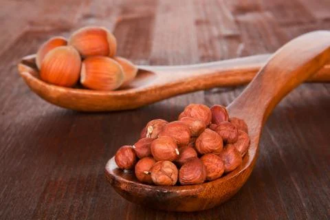Hazelnut. Stock Photos